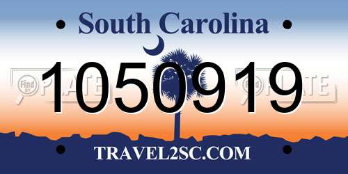 1050919 South Carolina License Plate