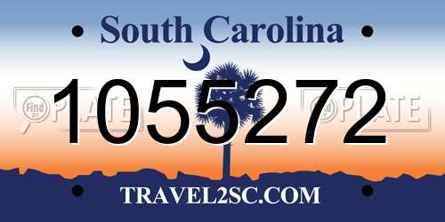 1055272 South Carolina License Plate