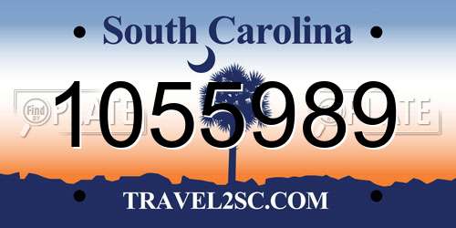 1055989 South Carolina License Plate