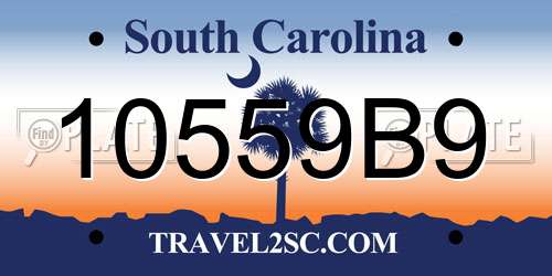 10559B9 South Carolina License Plate