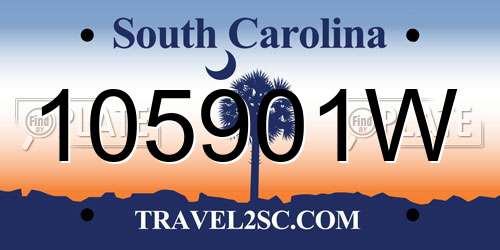 105901W South Carolina License Plate