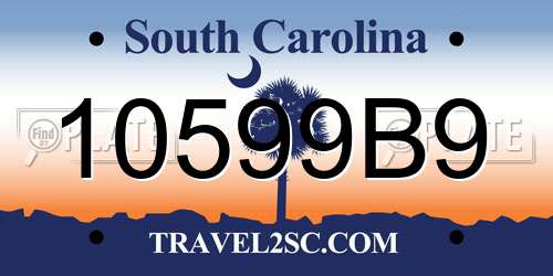 10599B9 South Carolina License Plate