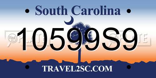 10599S9 South Carolina License Plate