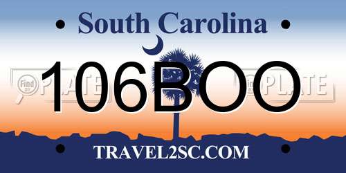 106BOO South Carolina License Plate
