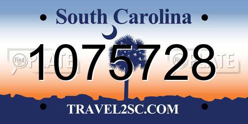 1075728 South Carolina License Plate