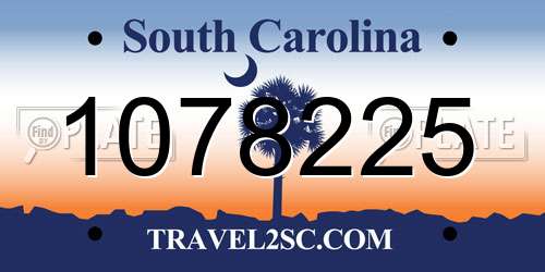 1078225 South Carolina License Plate