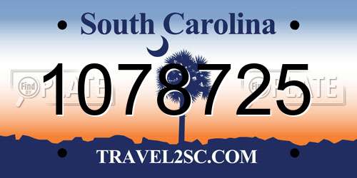 1078725 South Carolina License Plate