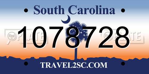 1078728 South Carolina License Plate