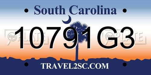 10791G3 South Carolina License Plate