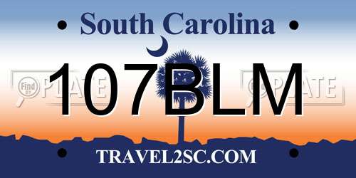 107BLM South Carolina License Plate