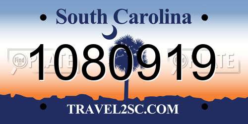 1080919 South Carolina License Plate