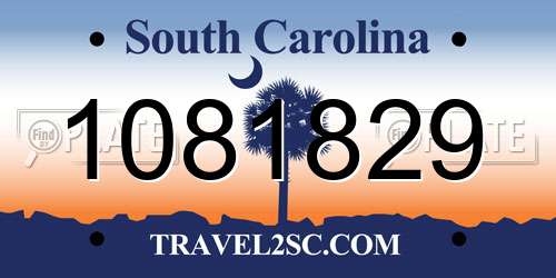 1081829 South Carolina License Plate