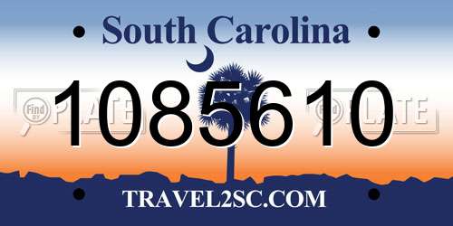 1085610 South Carolina License Plate
