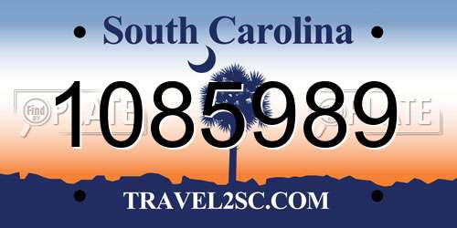 1085989 South Carolina License Plate