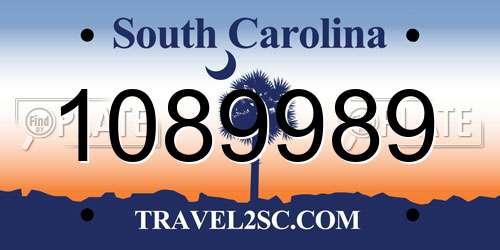 1089989 South Carolina License Plate