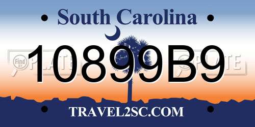 10899B9 South Carolina License Plate
