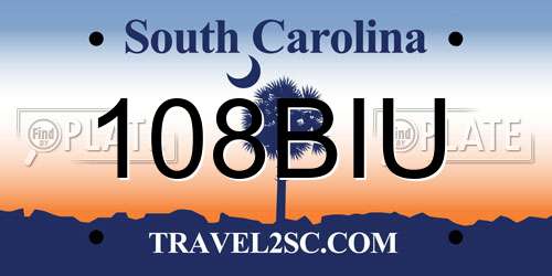 108BIU South Carolina License Plate