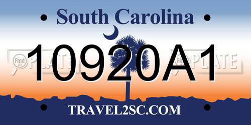 10920A1 South Carolina License Plate