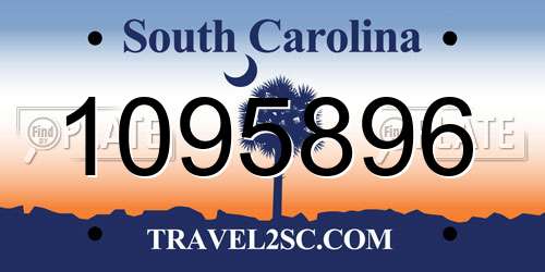 1095896 South Carolina License Plate