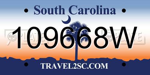 109668W South Carolina License Plate