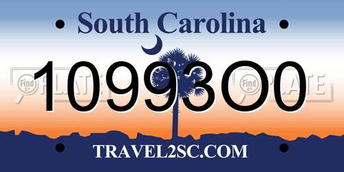 10993O0 South Carolina License Plate