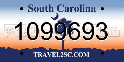 1099693 South Carolina License Plate