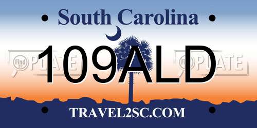 109ALD South Carolina License Plate