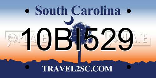 10BI529 South Carolina License Plate