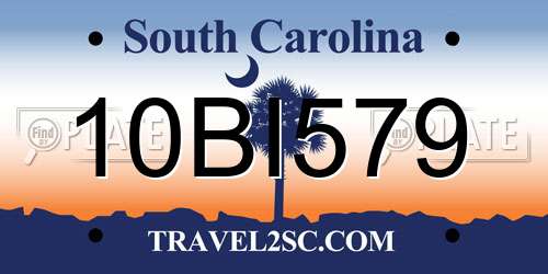 10BI579 South Carolina License Plate