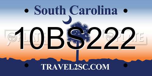 10BS222 South Carolina License Plate