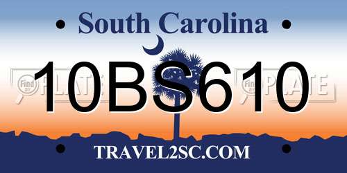 10BS610 South Carolina License Plate
