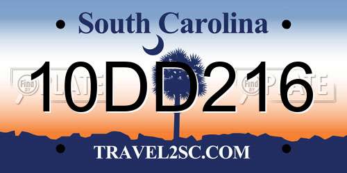 10DD216 South Carolina License Plate
