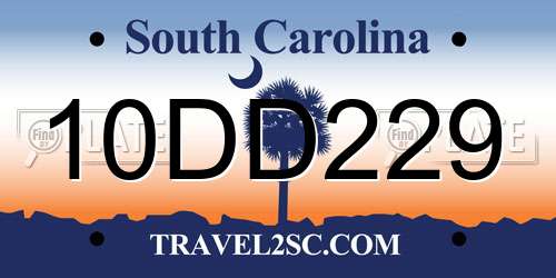 10DD229 South Carolina License Plate