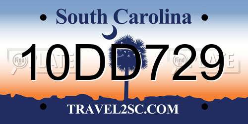 10DD729 South Carolina License Plate