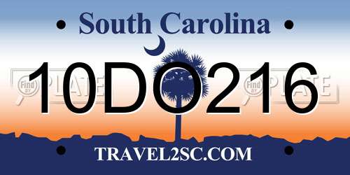 10DO216 South Carolina License Plate