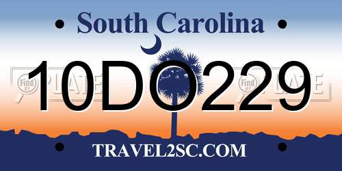 10DO229 South Carolina License Plate