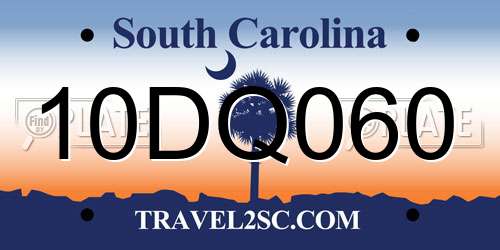 10DQ060 South Carolina License Plate