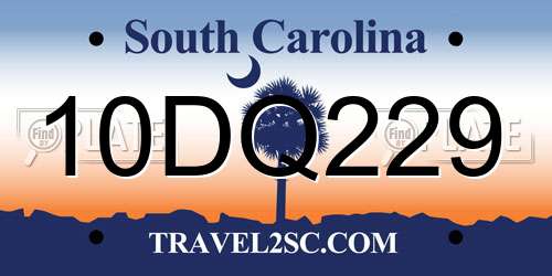 10DQ229 South Carolina License Plate