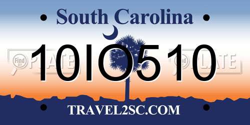 10IO510 South Carolina License Plate