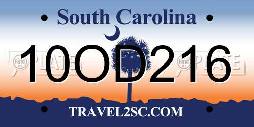 10OD216 South Carolina License Plate