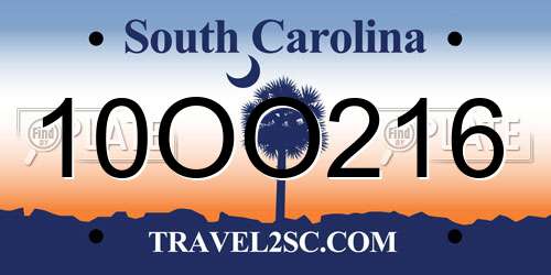 10OO216 South Carolina License Plate