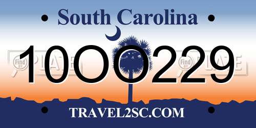 10OO229 South Carolina License Plate