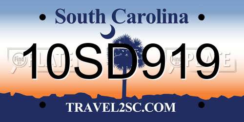 10SD919 South Carolina License Plate