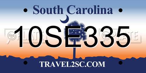 10SE335 South Carolina License Plate