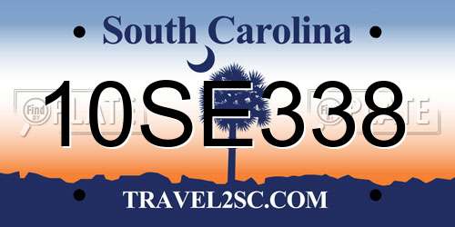 10SE338 South Carolina License Plate