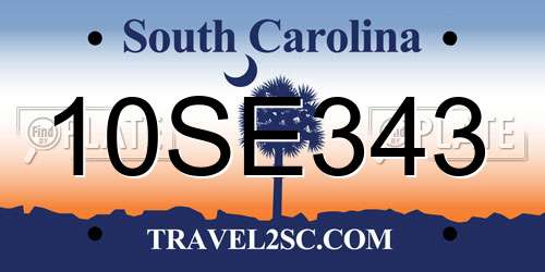 10SE343 South Carolina License Plate