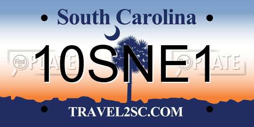 10SNE1 South Carolina License Plate