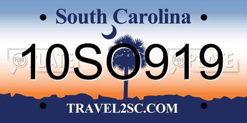 10SO919 South Carolina License Plate