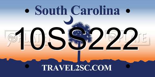 10SS222 South Carolina License Plate
