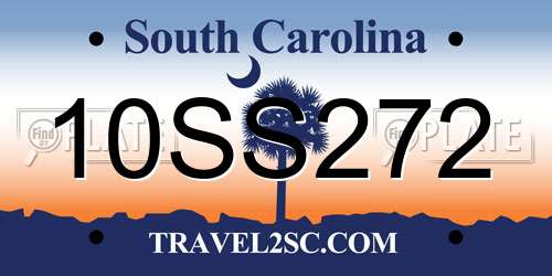 10SS272 South Carolina License Plate
